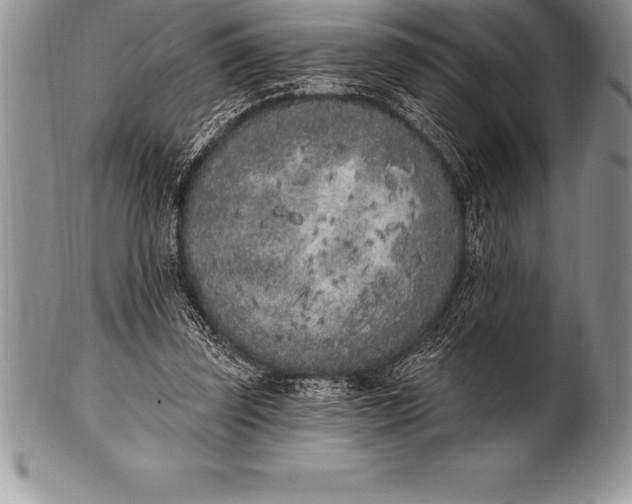 X0000100410347200806201804