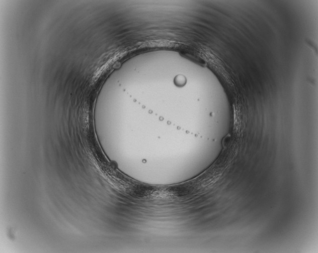 X0000100410348200806201804