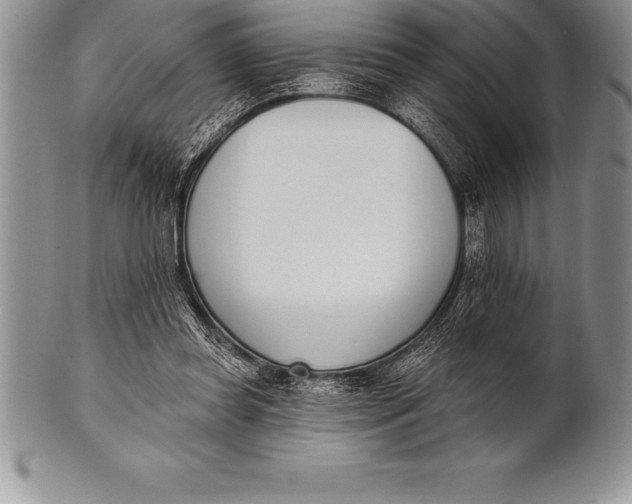 X0000100410349200806201804