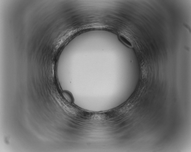 X0000100410350200806201804