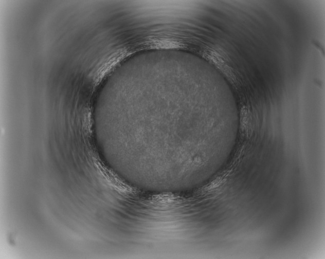 X0000100410351200806201804