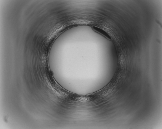 X0000100410352200806201804