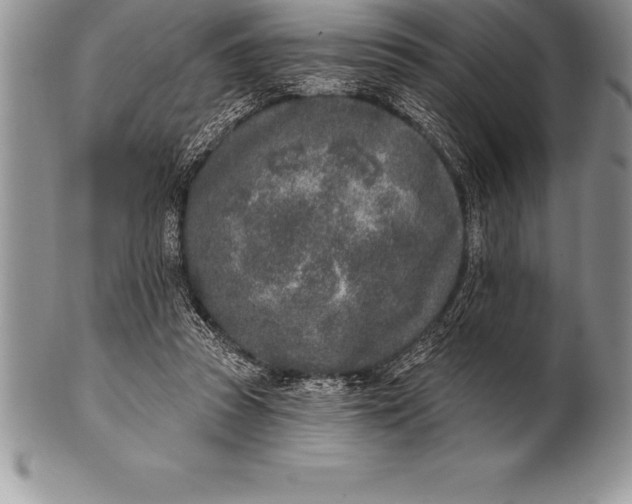 X0000100410353200806201804