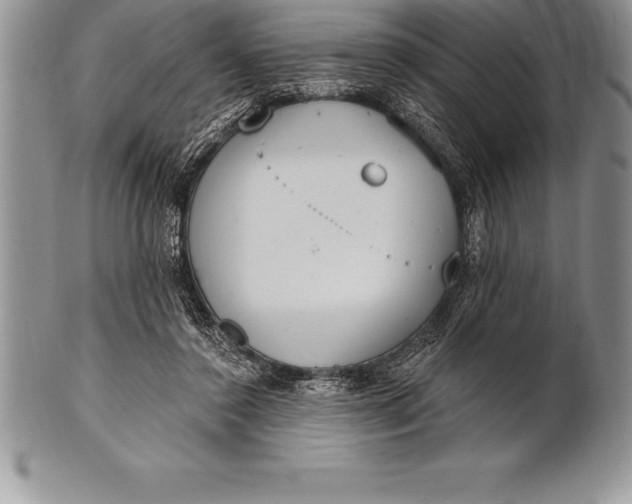 X0000100410356200806201804