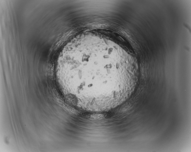 X0000100410357200806201804