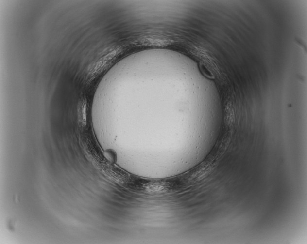 X0000100410358200806201804