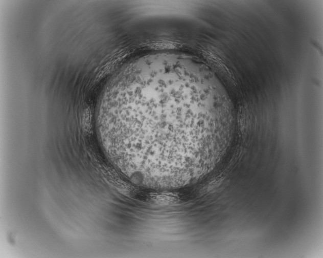 X0000100410359200806201804