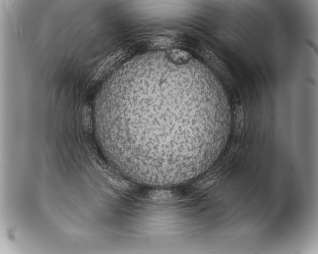 X0000100410361200806201804