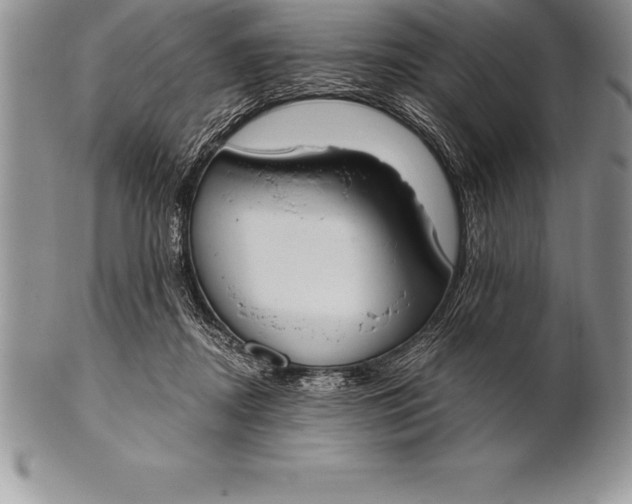 X0000100410362200806201804