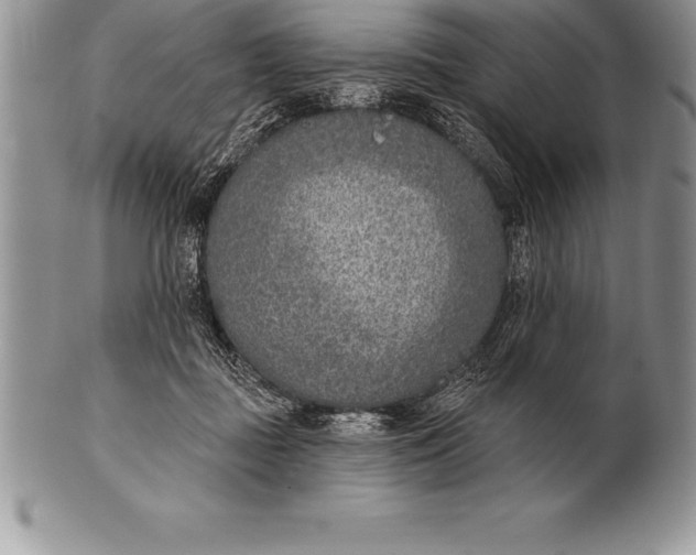 X0000100410363200806201804