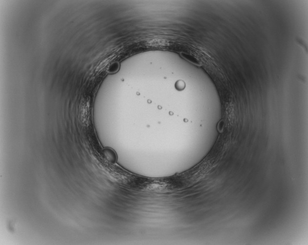 X0000100410364200806201804