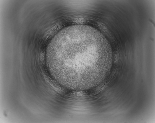 X0000100410365200806201804