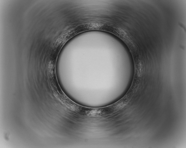 X0000100410366200806201804