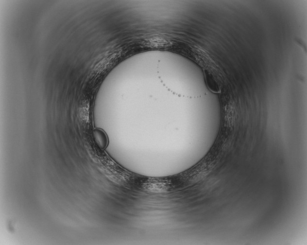 X0000100410368200806201804