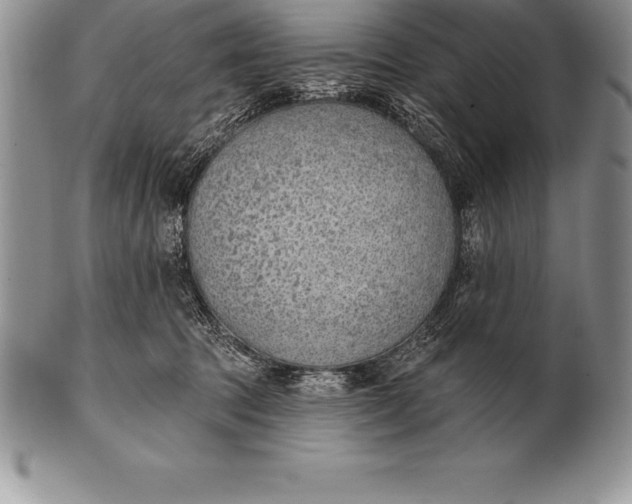 X0000100410369200806201804