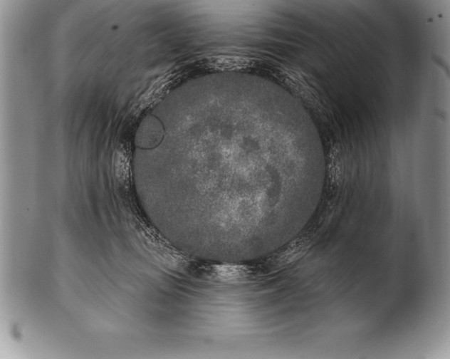 X0000100410371200806201804