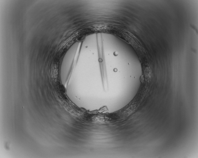 X0000100410372200806201804