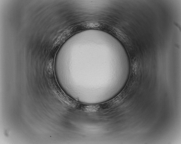 X0000100410373200806201804