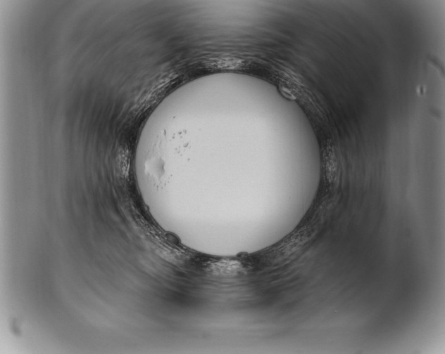 X0000100410374200806201804