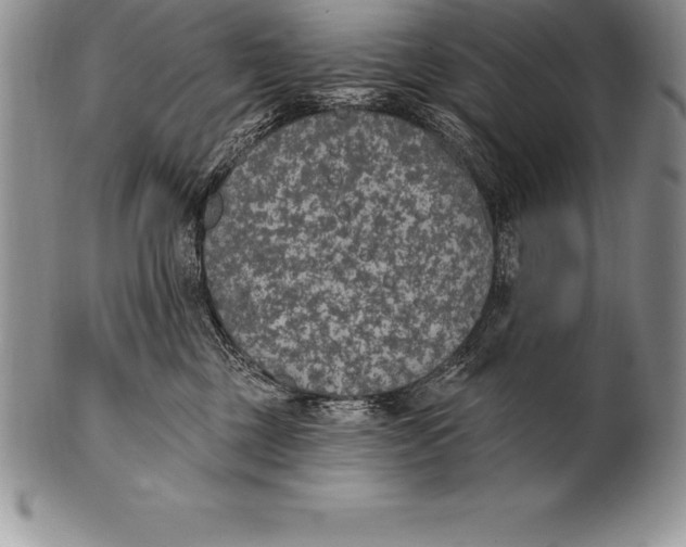 X0000100410377200806201804