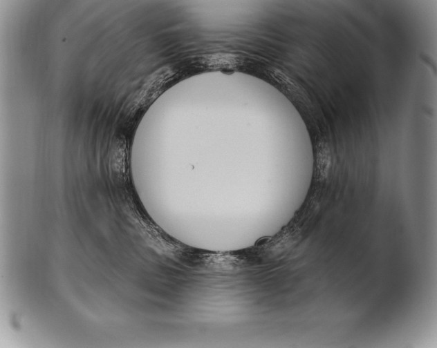 X0000100410379200806201804