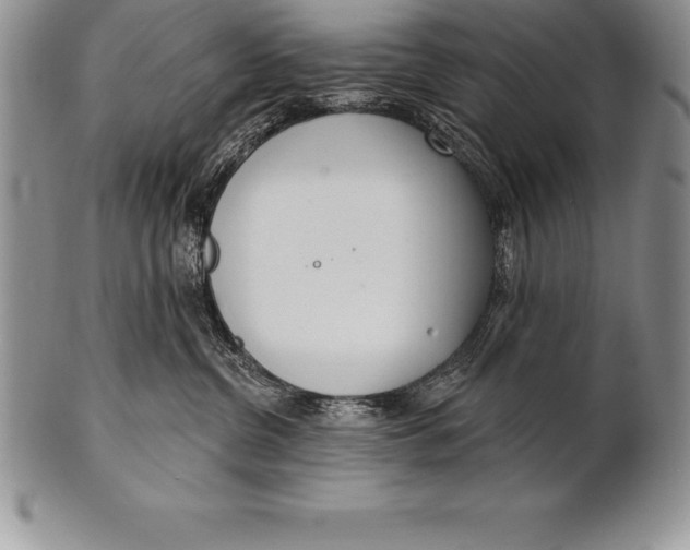 X0000100410380200806201804