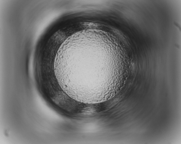 X0000100410381200806201805