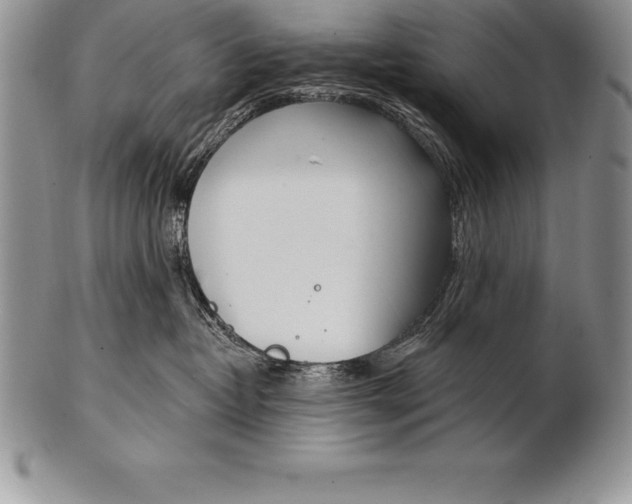 X0000100410382200806201805