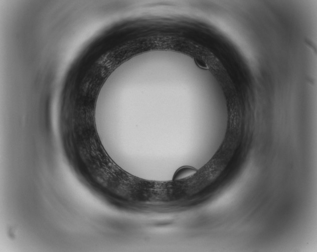 X0000100410383200806201805