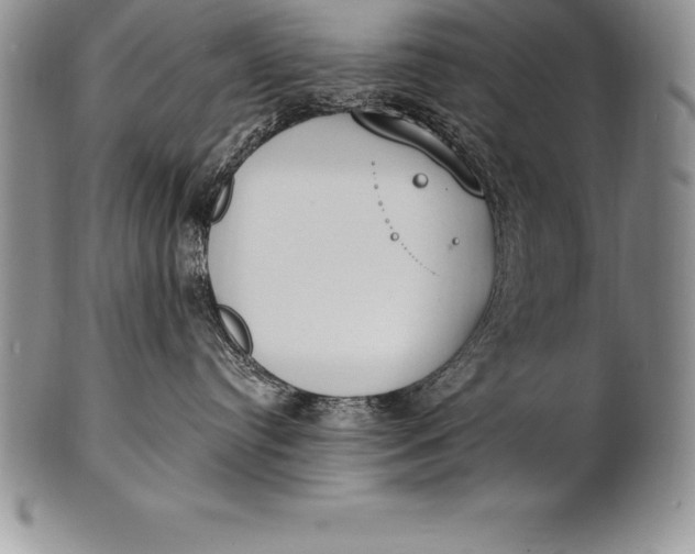 X0000100410384200806201805