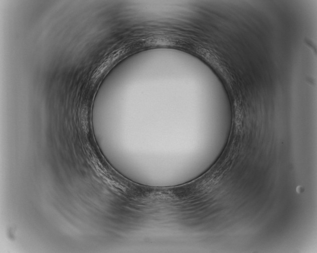 X0000100410386200806201804