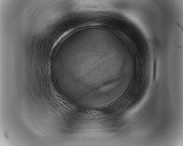 X0000100410387200806201804