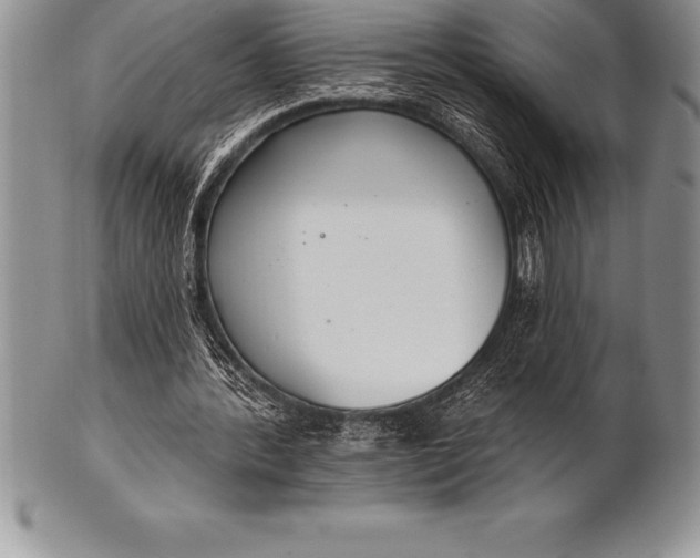 X0000100410388200806201804