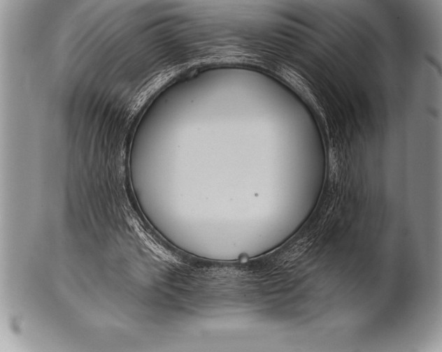 X0000100410389200806201804