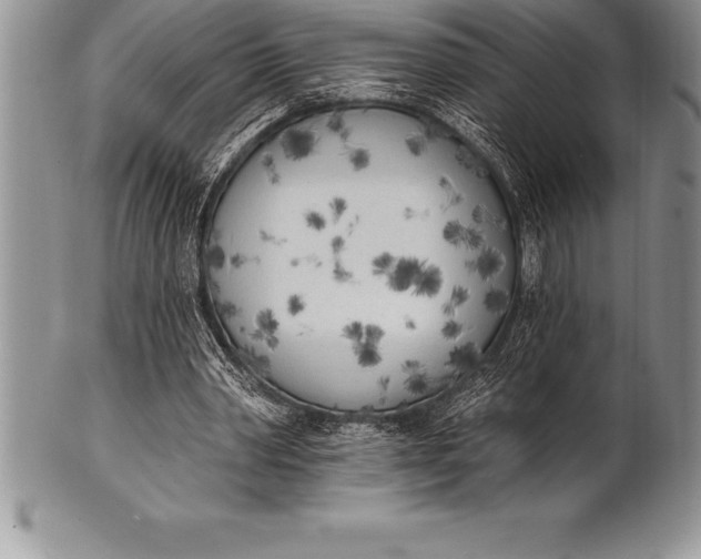 X0000100410390200806201804