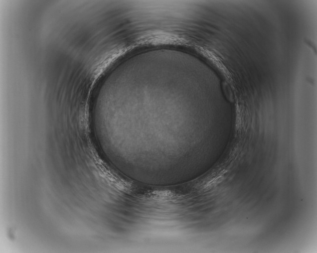 X0000100410391200806201804