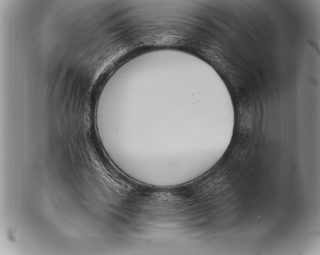 X0000100410392200806201804