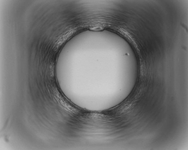 X0000100410393200806201804