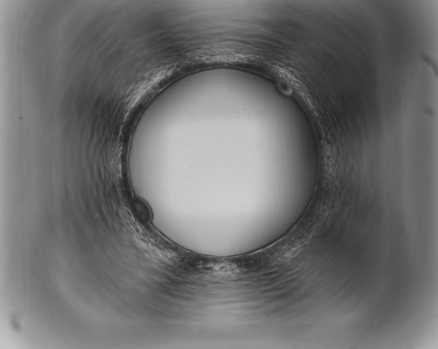 X0000100410395200806201804