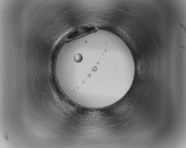 X0000100410396200806201804