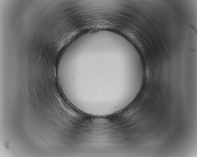 X0000100410397200806201804