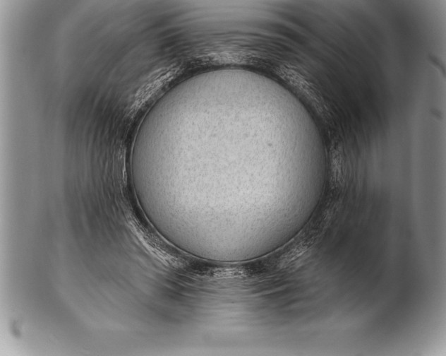 X0000100410398200806201804