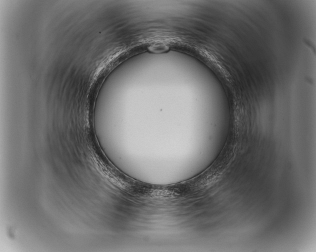 X0000100410399200806201804