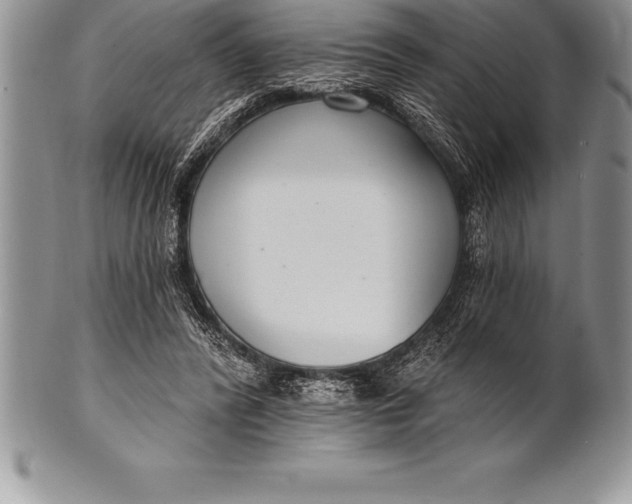 X0000100410400200806201804