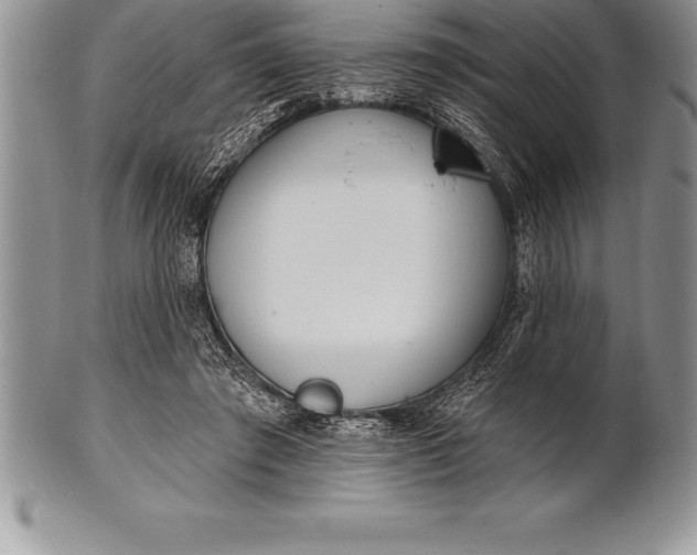 X0000100410401200806201804