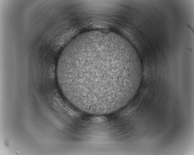 X0000100410402200806201804