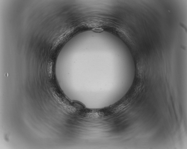 X0000100410404200806201804