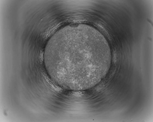 X0000100410405200806201804