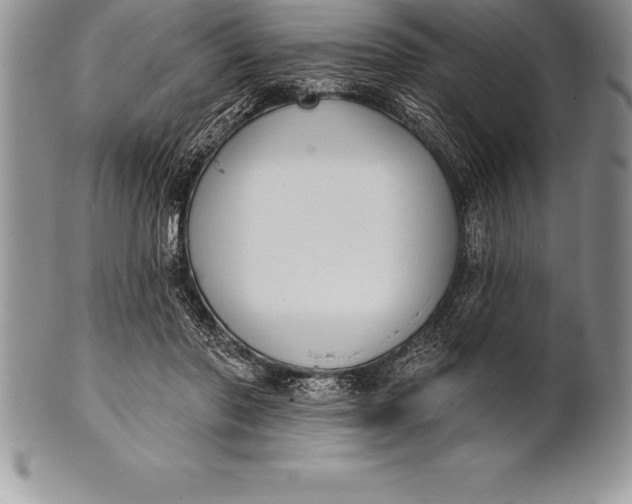 X0000100410406200806201804