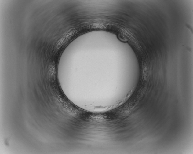 X0000100410407200806201804